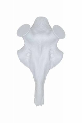 Umetna lobanja Artificial Stag Skull 40 mm | jelen