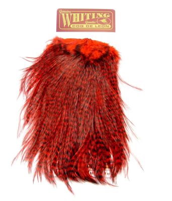 Sedlo - material za vezavo Whiting Coq de Leon Saddle (Quality silver) | grizzly dyed red