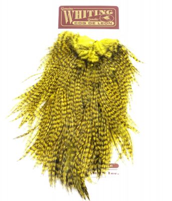 Sedlo - material za vezavo Whiting Coq de Leon Saddle (Quality silver) | grizzly dyed yellow