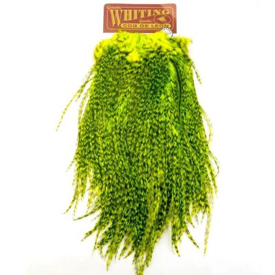 Sedlo - material za vezavo Whiting Coq de Leon Saddle (Quality silver) | grizzly dyed fluoro green