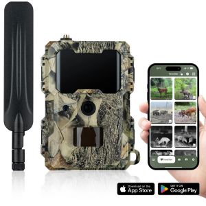 Kamera s pošiljanjem slik DORR SnapShot Cloud 4G