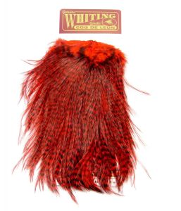 Sedlo - material za vezavo Whiting Coq de Leon Saddle (Quality silver) | grizzly dyed red