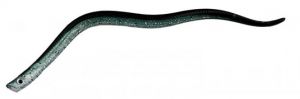 Črvi za izdelavo cofa za sulca behr TRENDEX POWER EEL 20cm 3kos | barva 04
