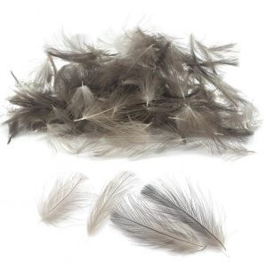 CDC peresa TRAUN RIVER Wild Duck CDC Feathers (1 gram)