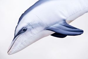 Riba - igrača GABY The Bottlenose Dolphin 55 cm | GP-175495