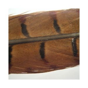 Material za muhe Hends Pheasant Tail - fazanovo pero | Natural
