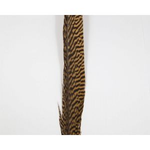 Material za muhe - zlati fazan TRAUN RIVER Golden Pheasant Centre Tail