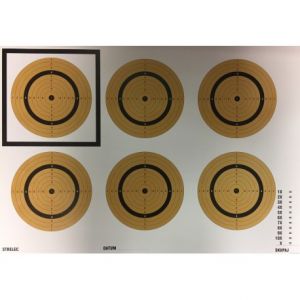 Tarča veteranska - ostrostrelska 5+1 krogi