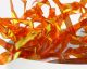 Trak za hrbet muhe SYBAI Pearl Strips, Hot Orange