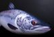 Riba - igrača GABY The Atlantic Salmon 90 cm - atlantski losos | GP-175082