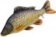 Riba - igrača GABY The Common Carp pillow mini 36 cm - krap | GP-175853