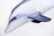 Riba - igrača GABY The Bottlenose Dolphin 55 cm | GP-175495